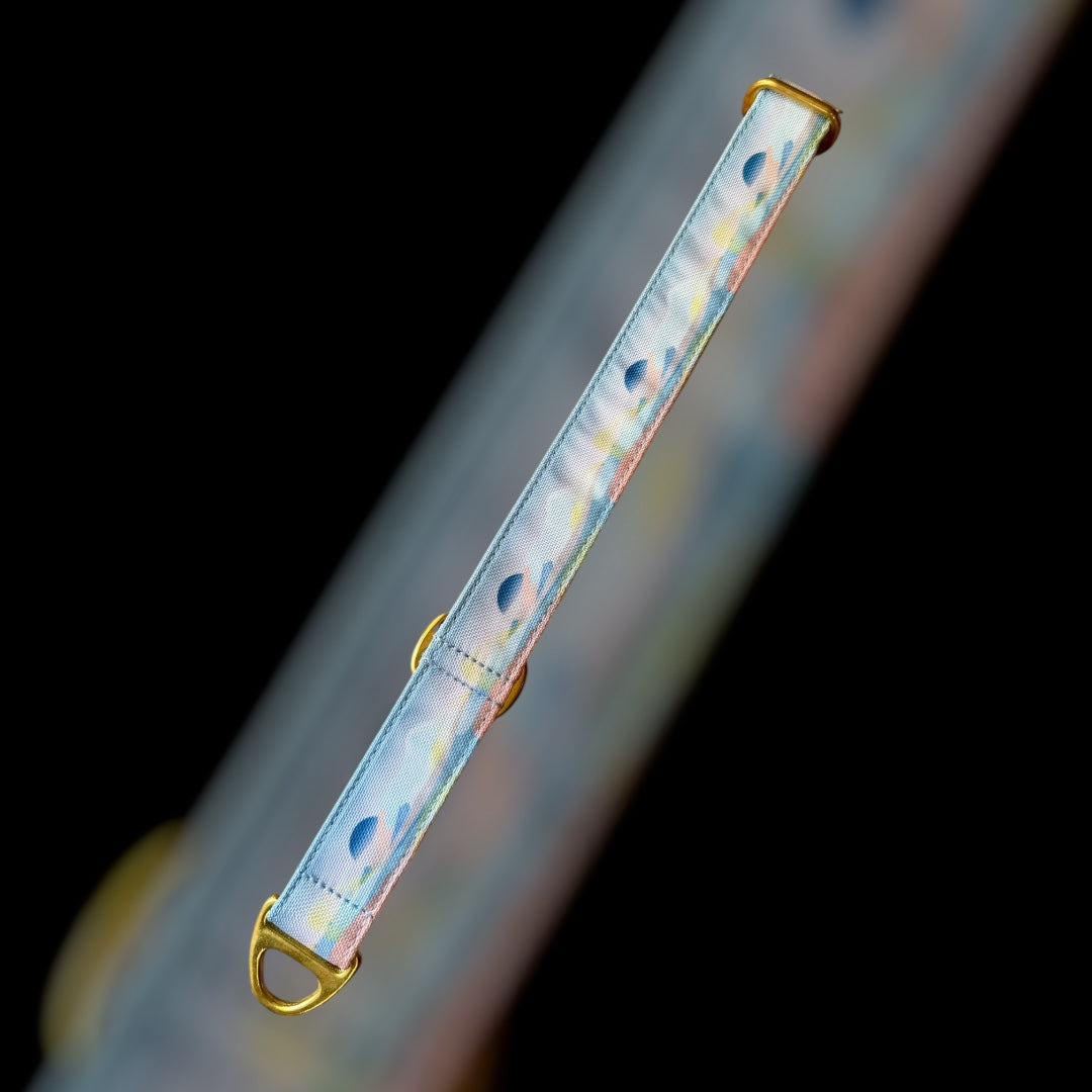 Martingale Taille M - 25mm