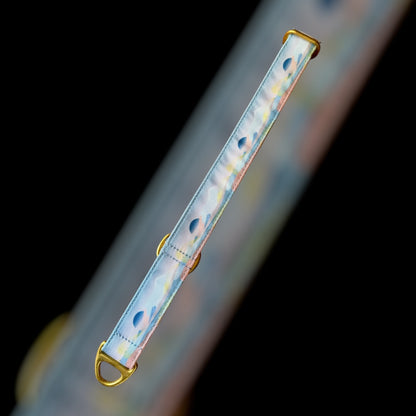 Martingale Taille M - 25mm