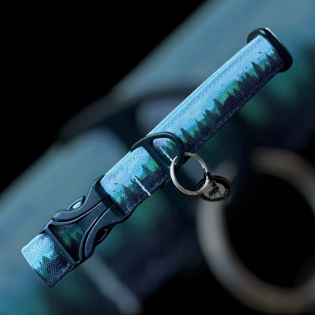 Collier Taille S - CLIP plastique 20mm