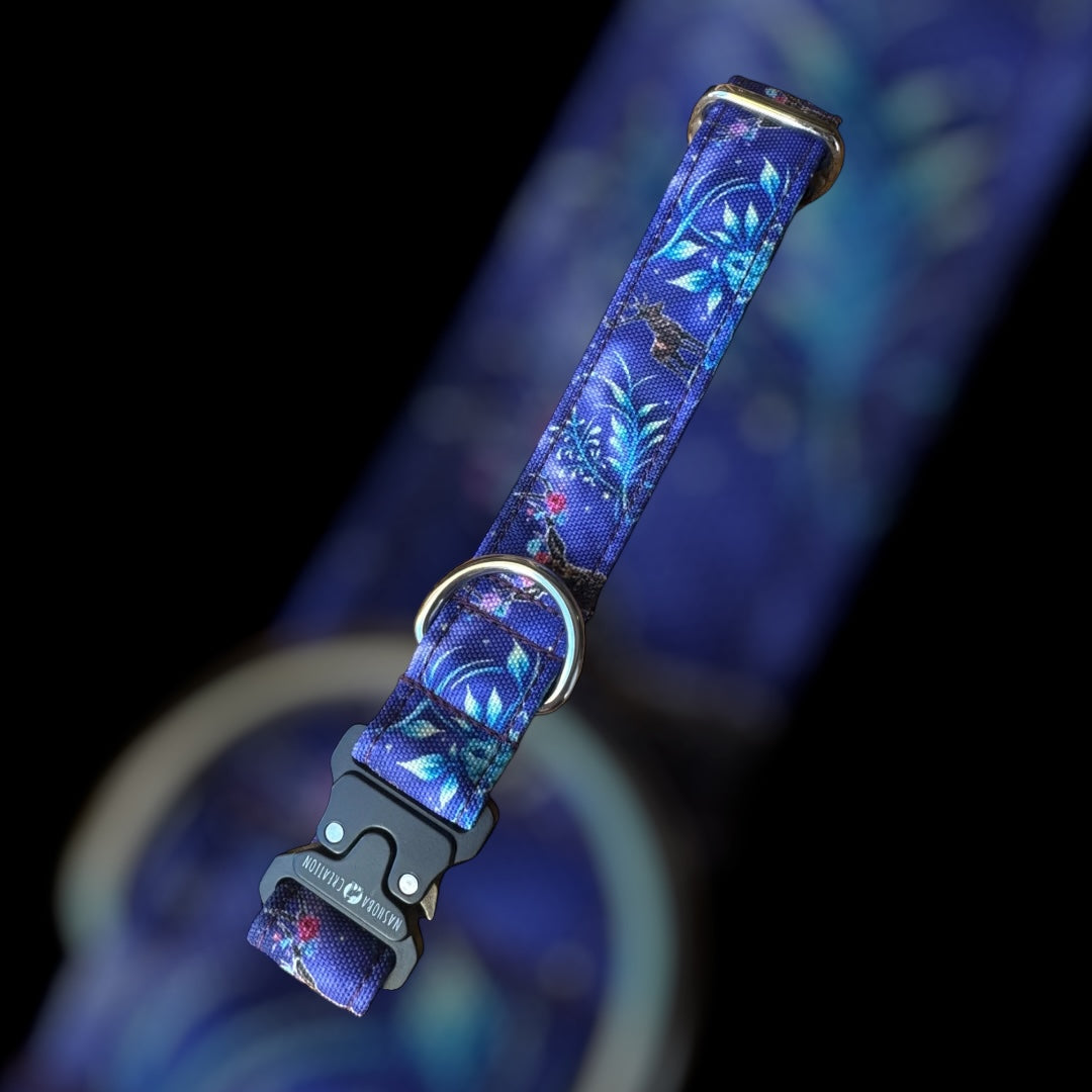 Collier Taille M - Clip sécu 25mm