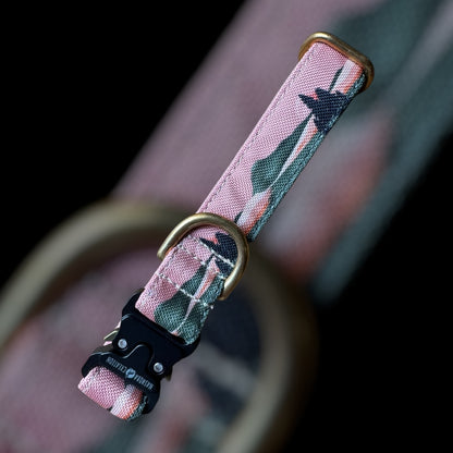 Collier Taille S - CLIP sécu 20mm