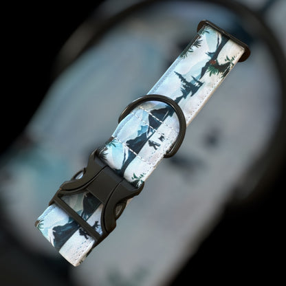 Collier Taille M - Clip plastique 38mm