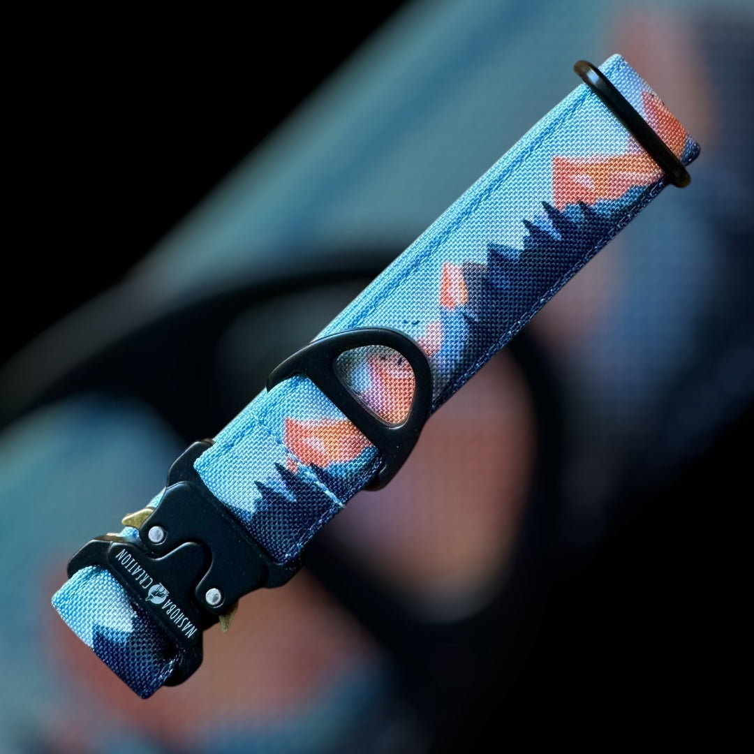 Collier Taille S - Clip sécu 25mm