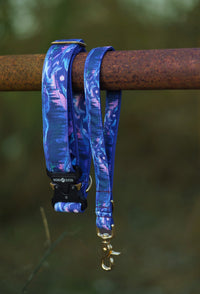 Collier pour chien - Moonriver