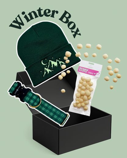 La Winter Box - Damier vert & Bonnet Forêt