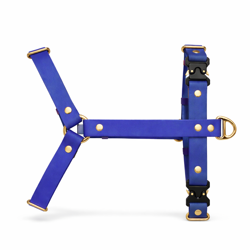 Harnais en biothane® - Royal