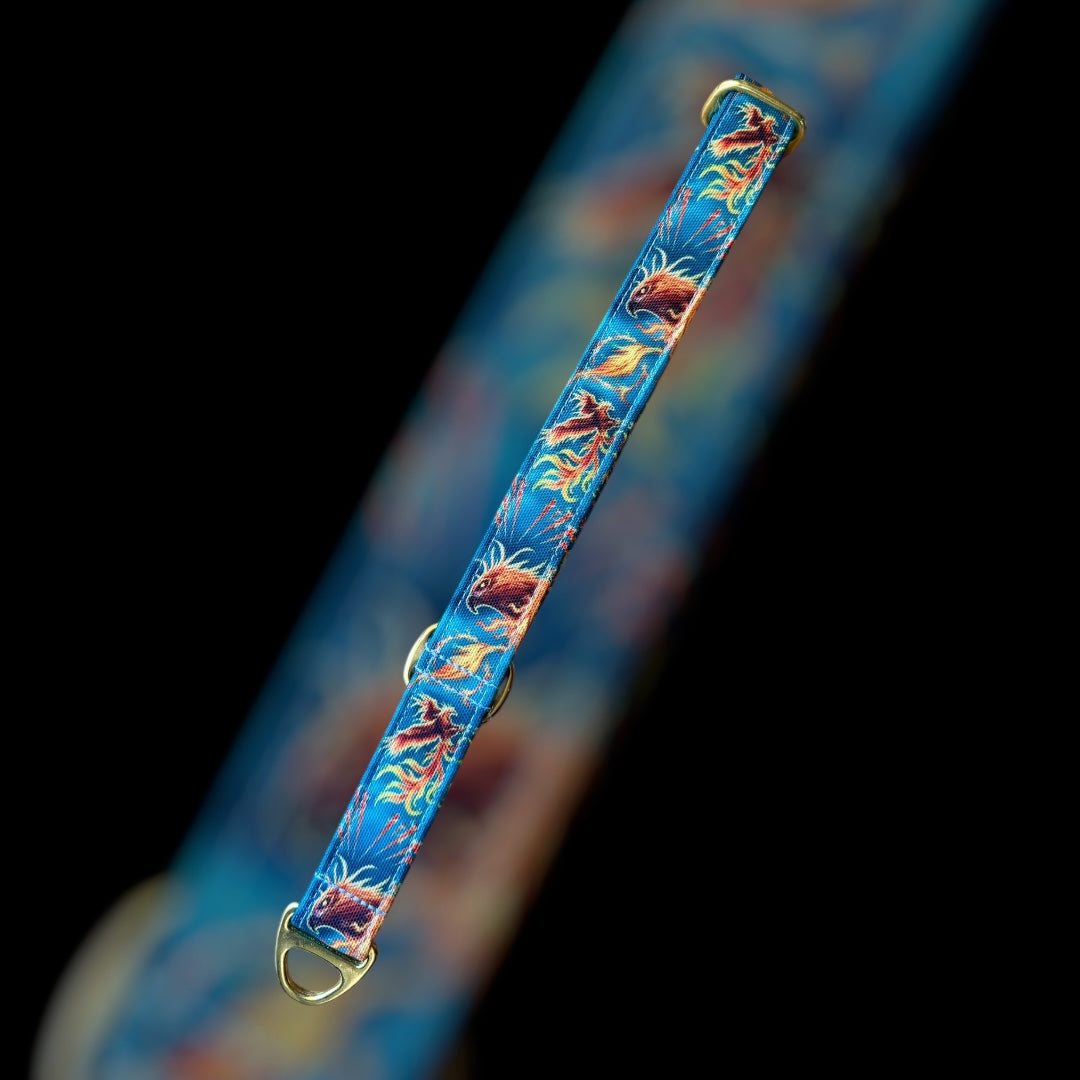 Martingale Taille M - 25mm