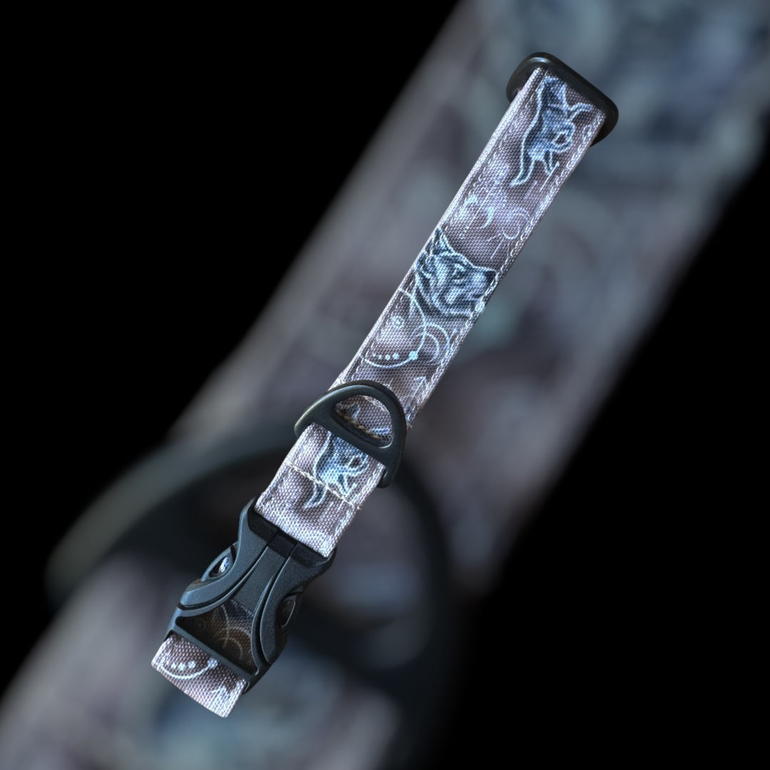 Collier Taille M - Clip plastique 25mm