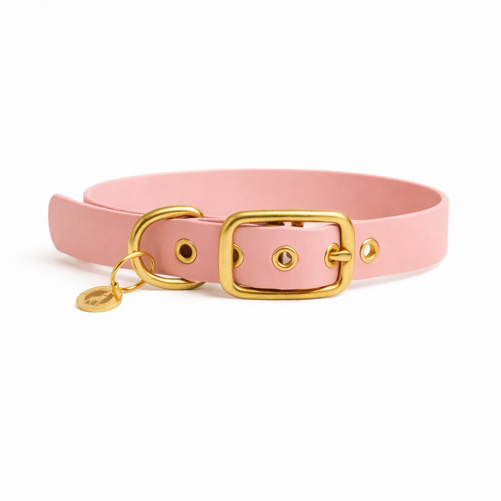 Collier en biothane® - Rose Or