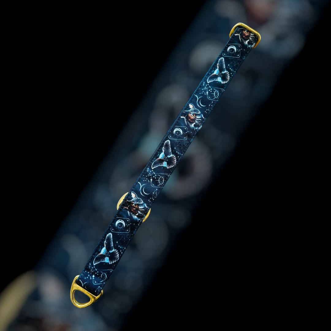 Martingale Taille L (36cm à 67cm) - 25mm