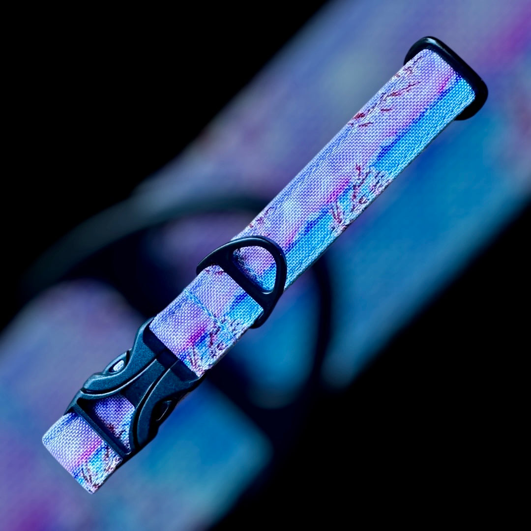 Collier Taille S - CLIP plastique 20mm