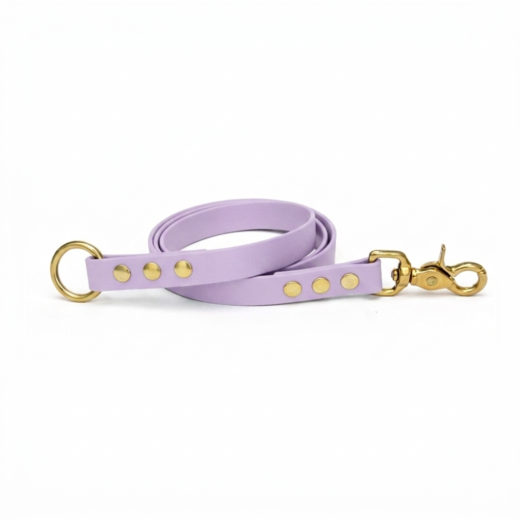 Laisse amovible en biothane® - Lilas