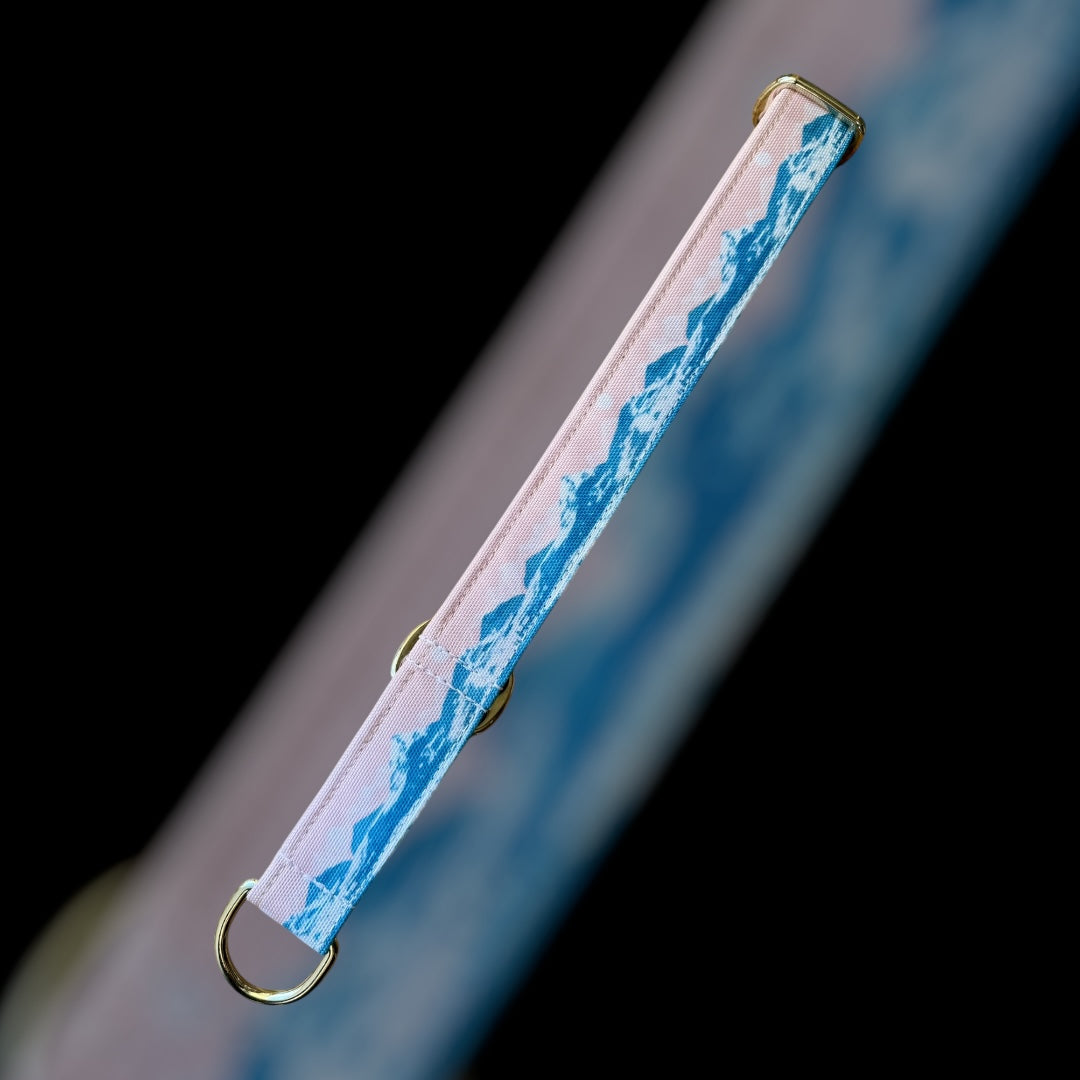 Martingale Taille M - 25mm