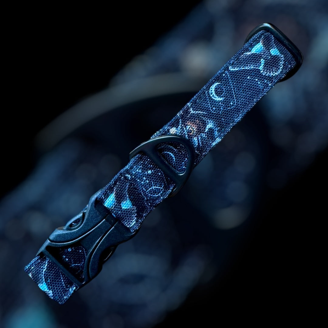 Collier Taille S - CLIP plastique 20mm