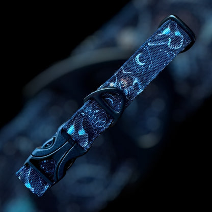 Collier Taille S - CLIP plastique 20mm