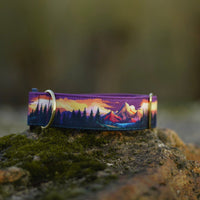 Collier pour chien - Amber Valley
