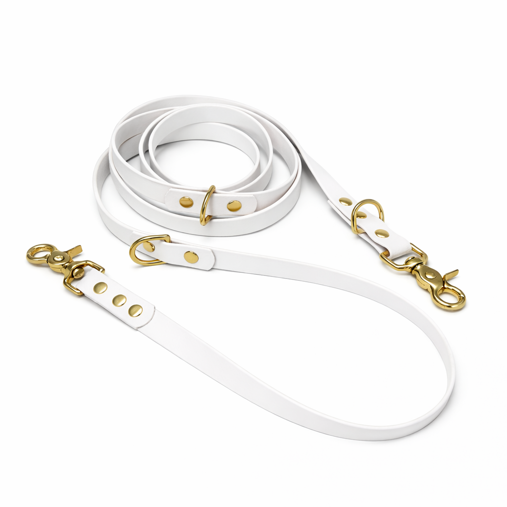 Laisse multipositions en biothane® - Blanc