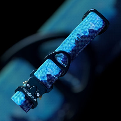 Collier Taille S - Clip sécu 25mm