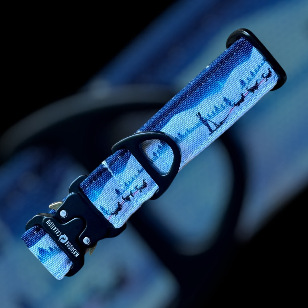 Collier Taille S - Clip sécu 25mm