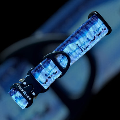 Collier Taille S - Clip sécu 25mm