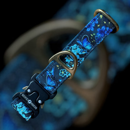 Collier Taille S - Clip sécu 25mm