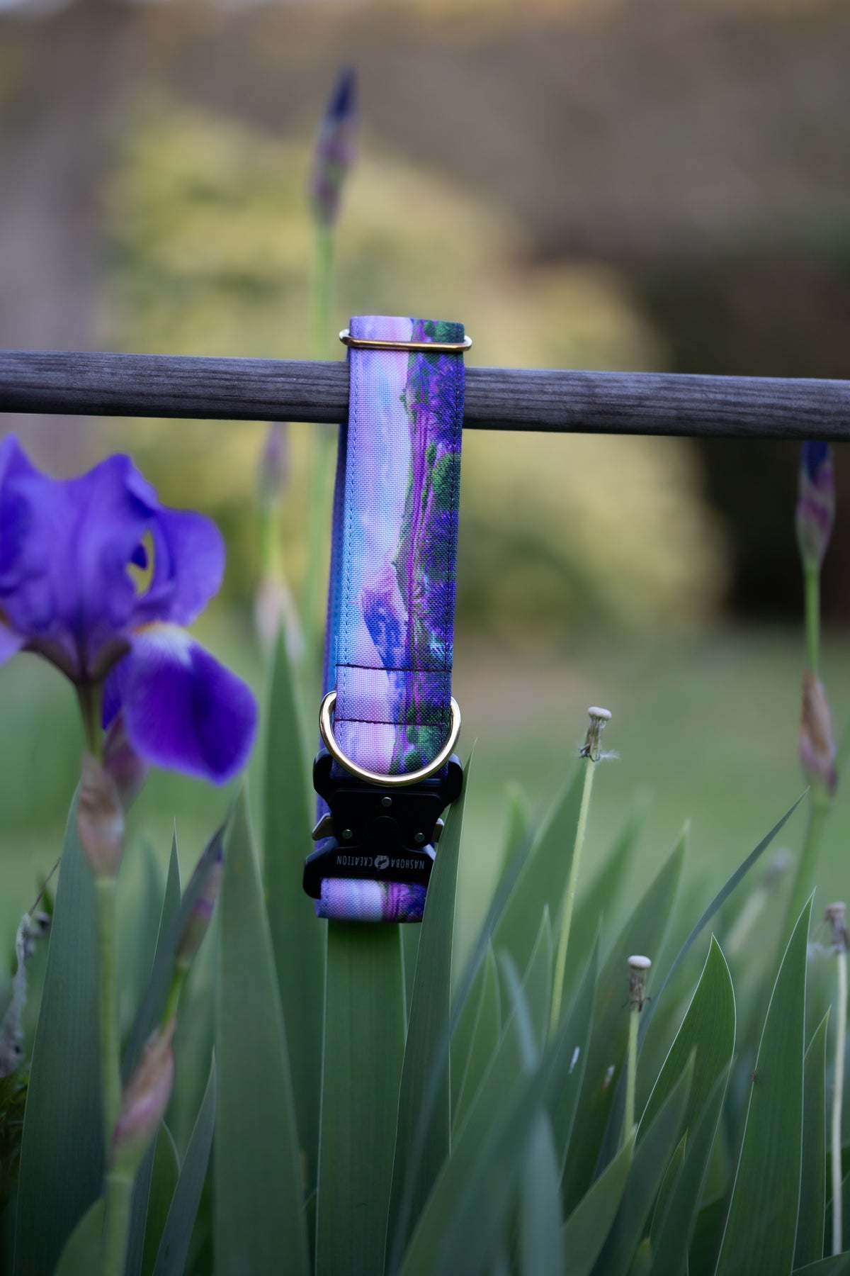 Collier pour chien - Provence