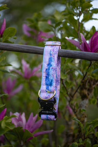 Collier pour chien - Mont Blanc