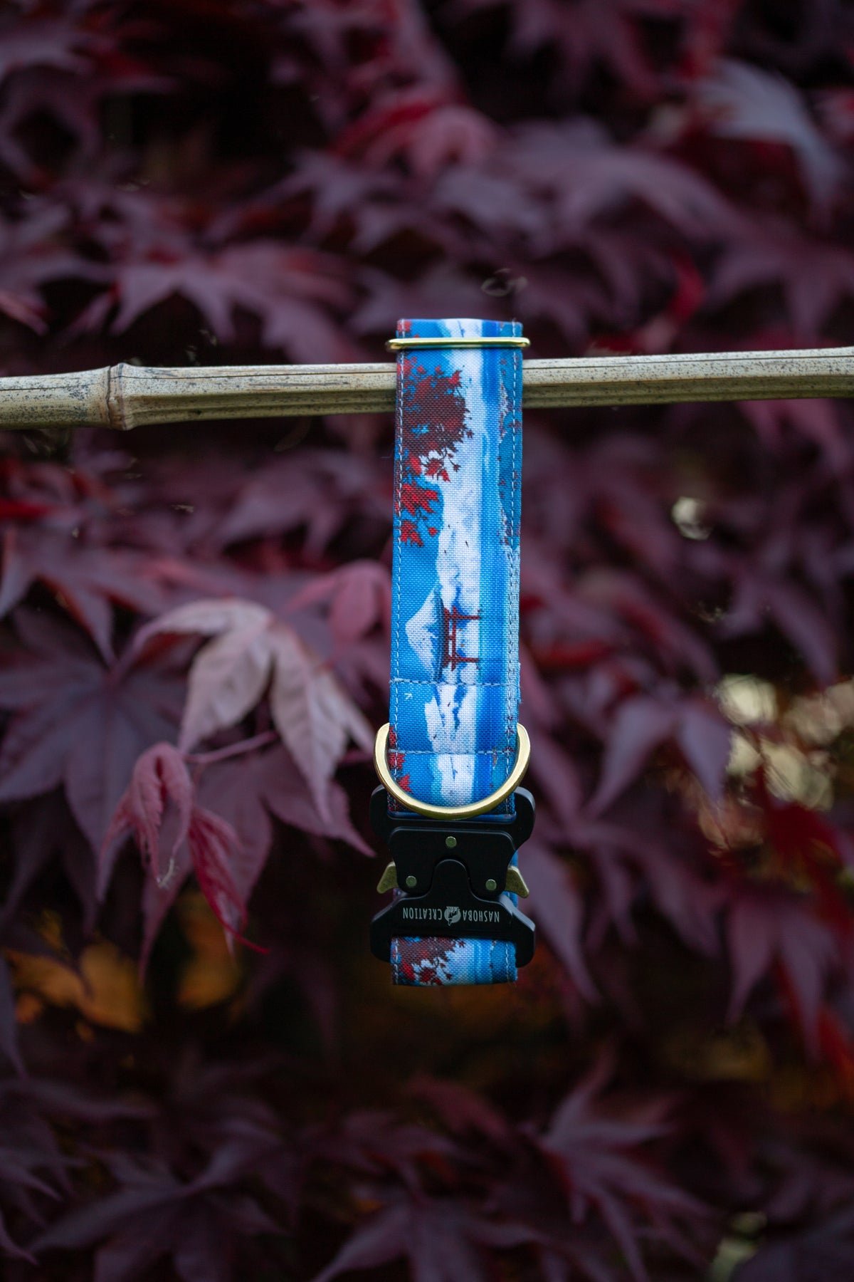 Collier pour chien - Japan