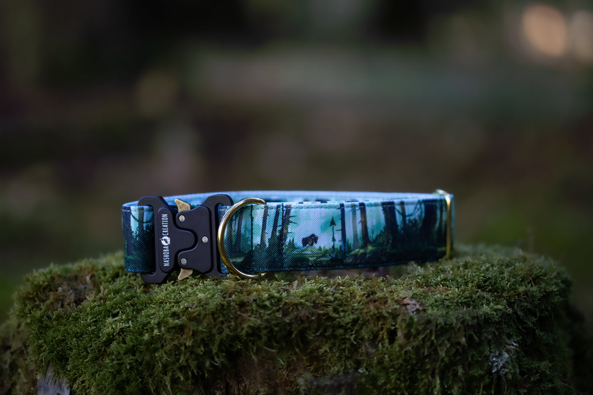 Collier pour chien - Bialowieza
