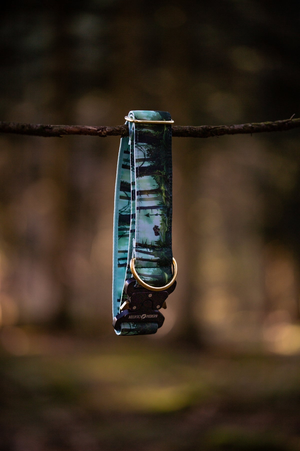 Collier pour chien - Bialowieza