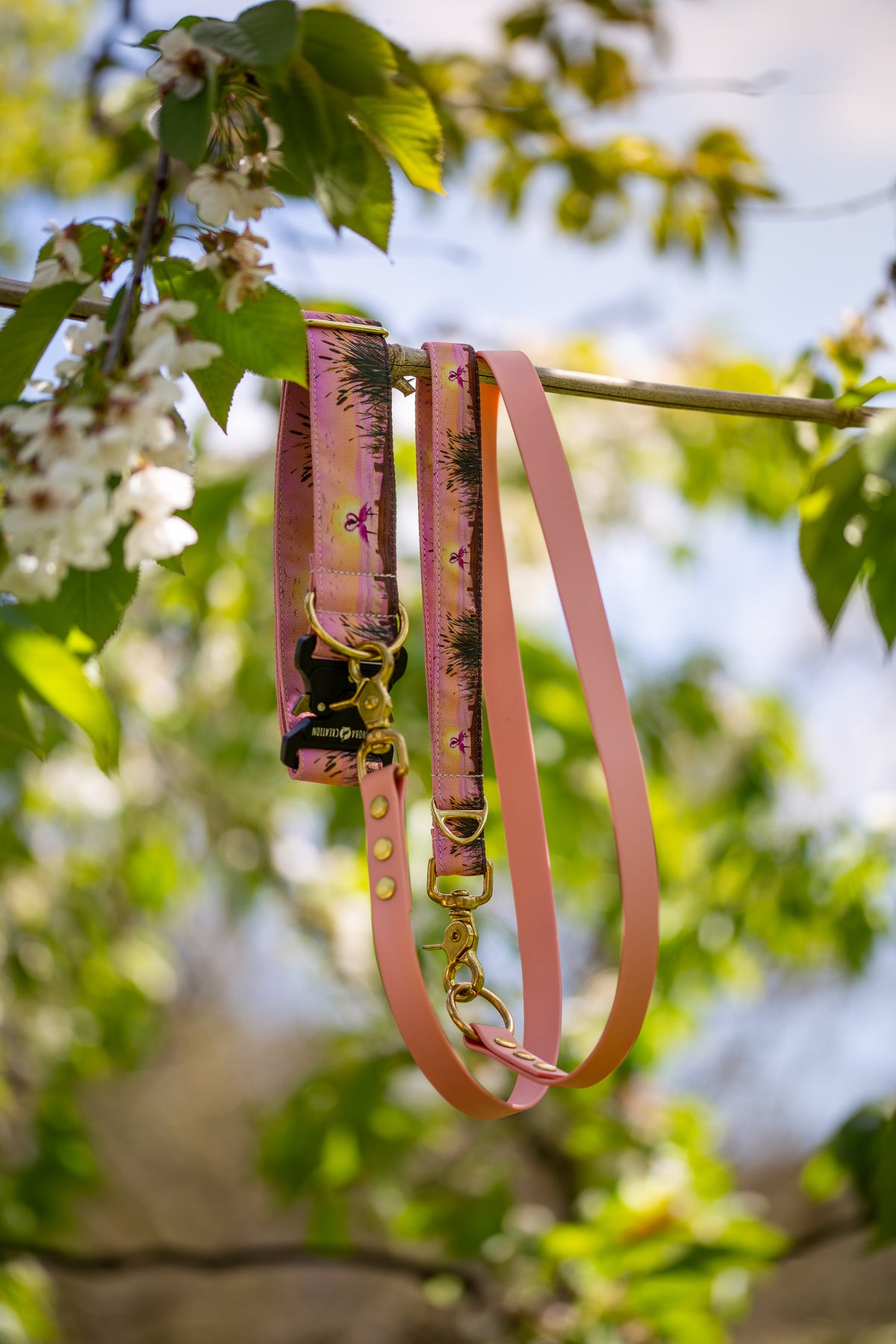 Collier pour chien - Camargue
