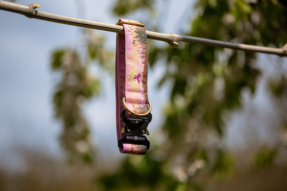Collier pour chien - Camargue