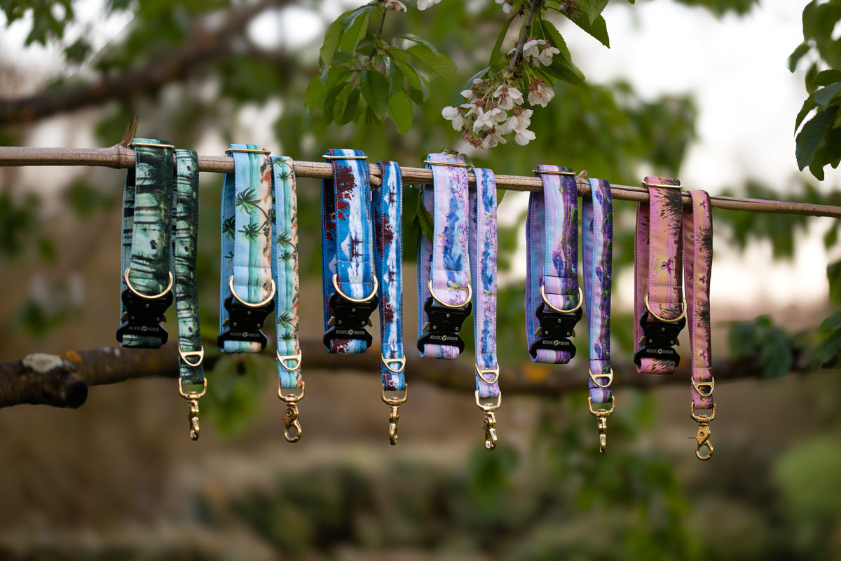 Collier pour chien - Camargue
