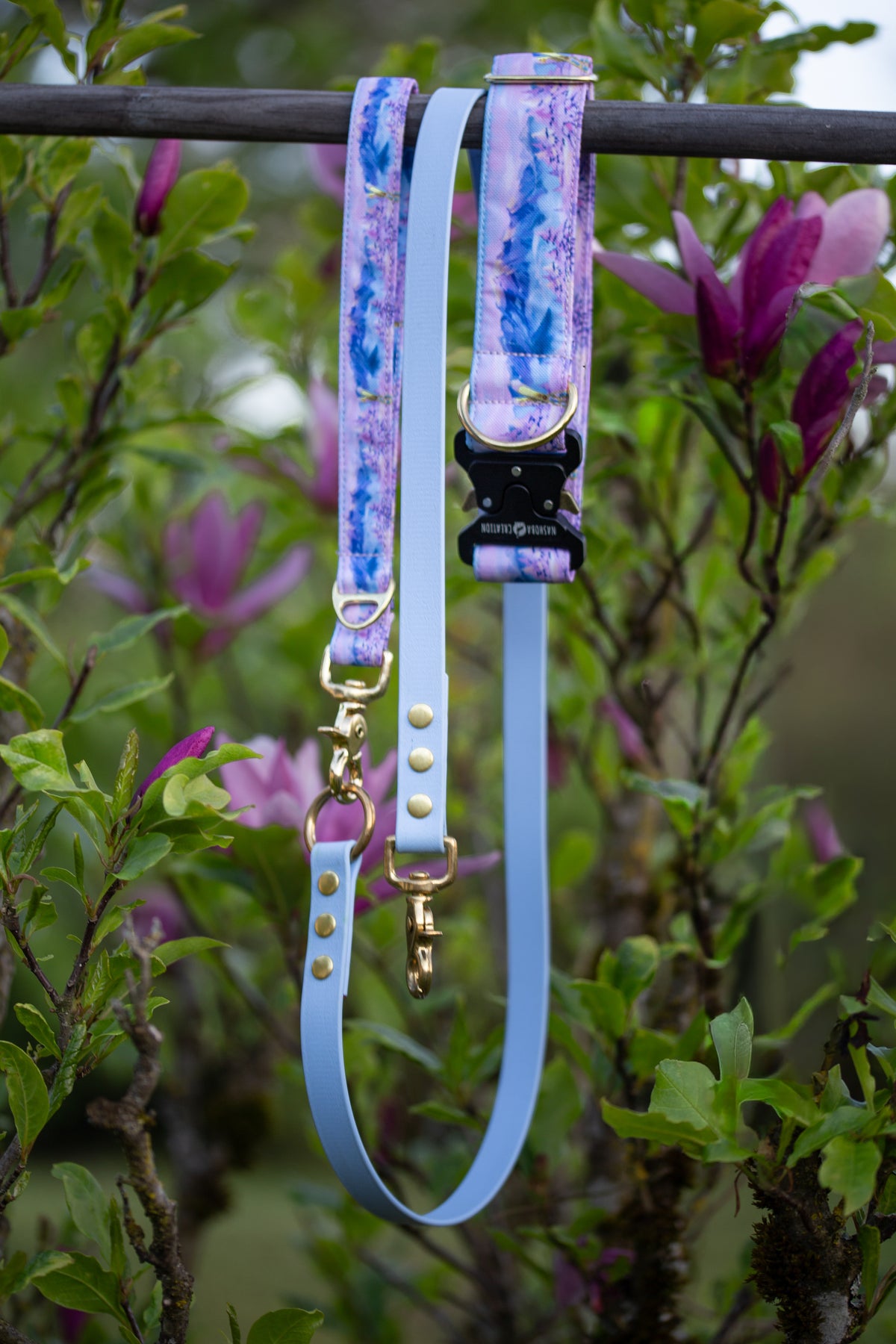 Collier pour chien - Mont Blanc