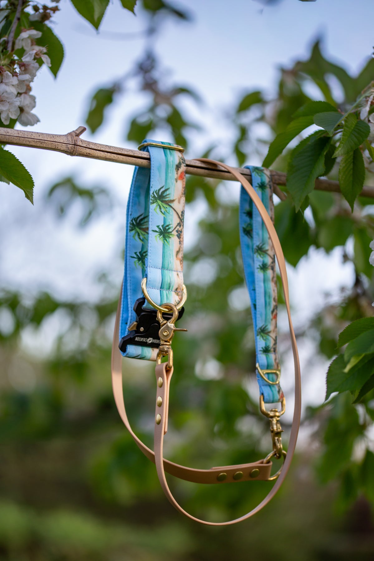 Collier pour chien - Hawaï