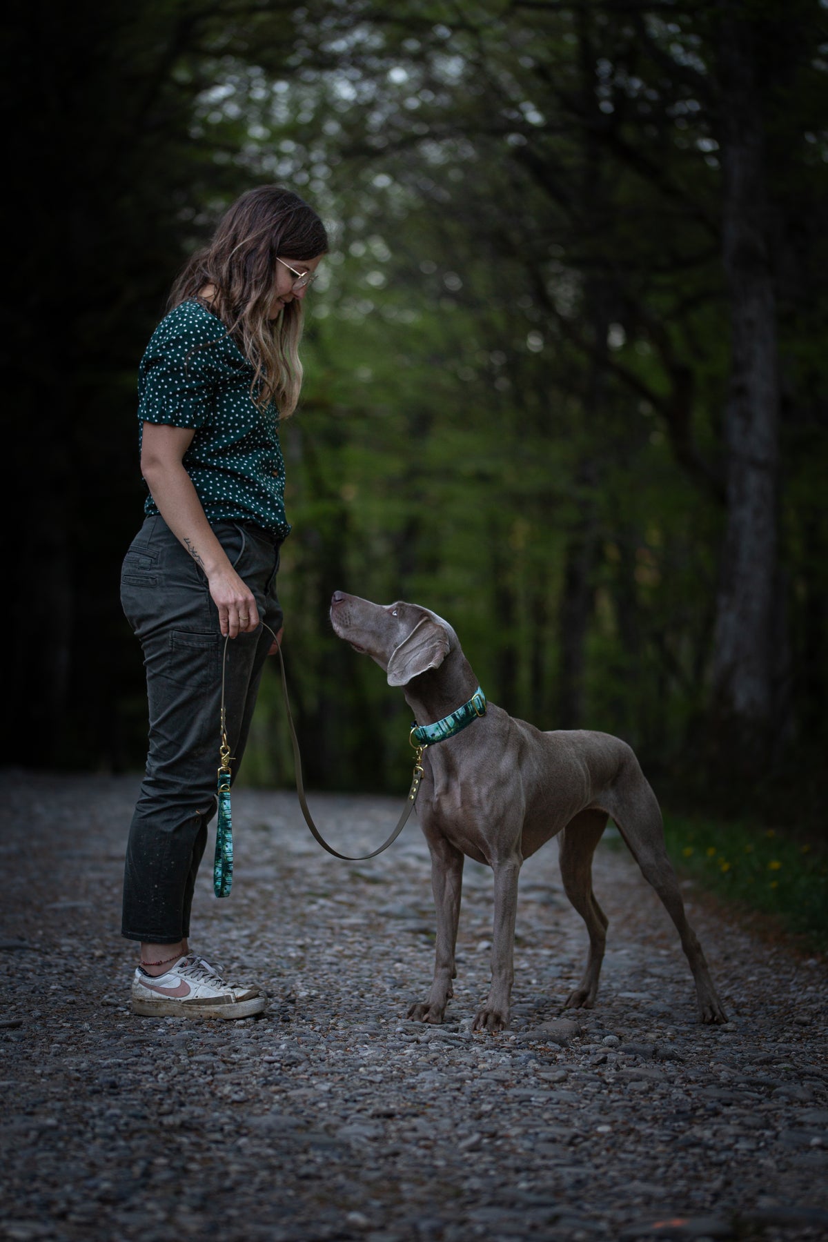 Collier pour chien - Bialowieza