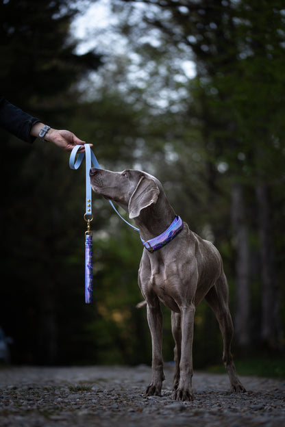 Collier pour chien - Provence