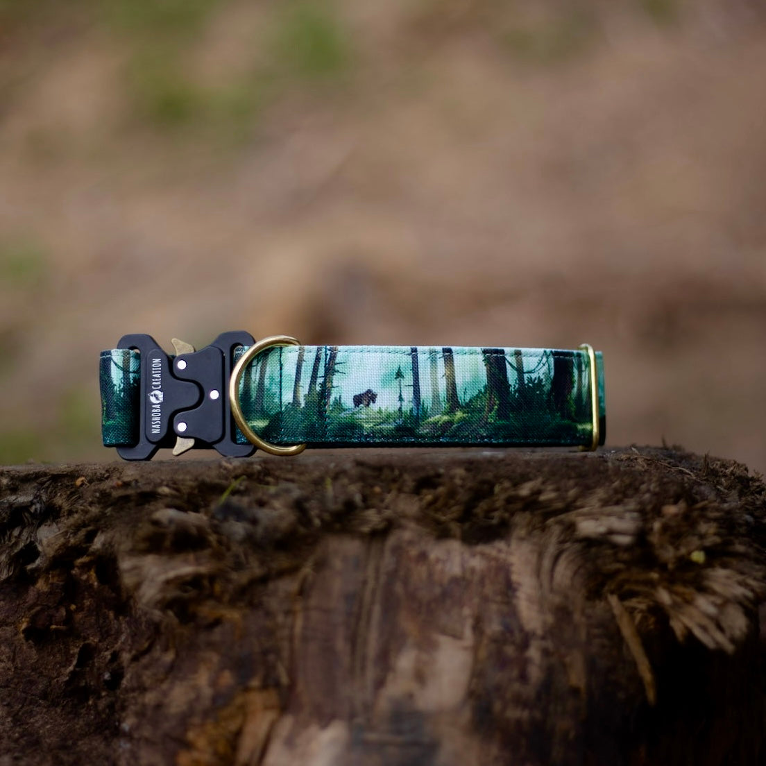 Collier pour chien - Bialowieza