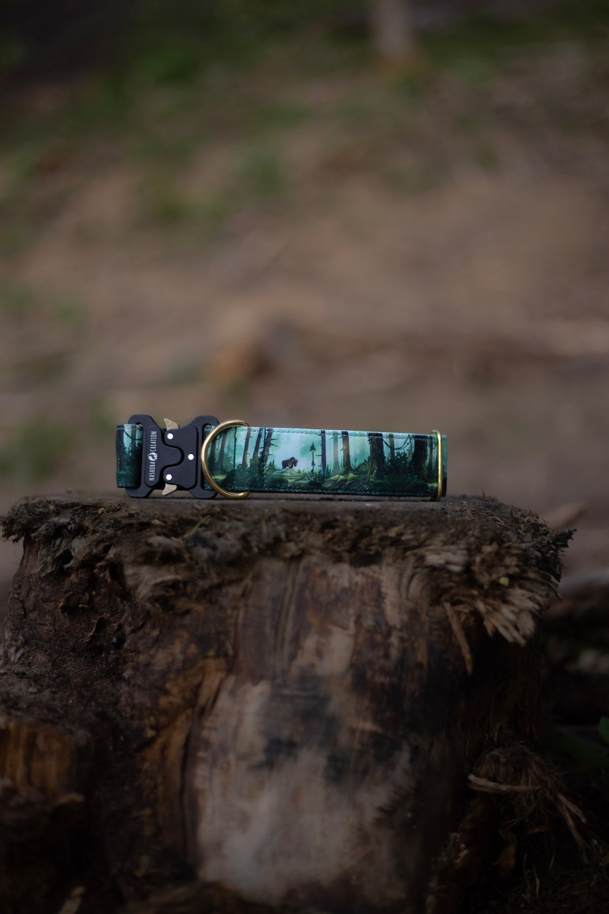 Collier pour chien - Bialowieza