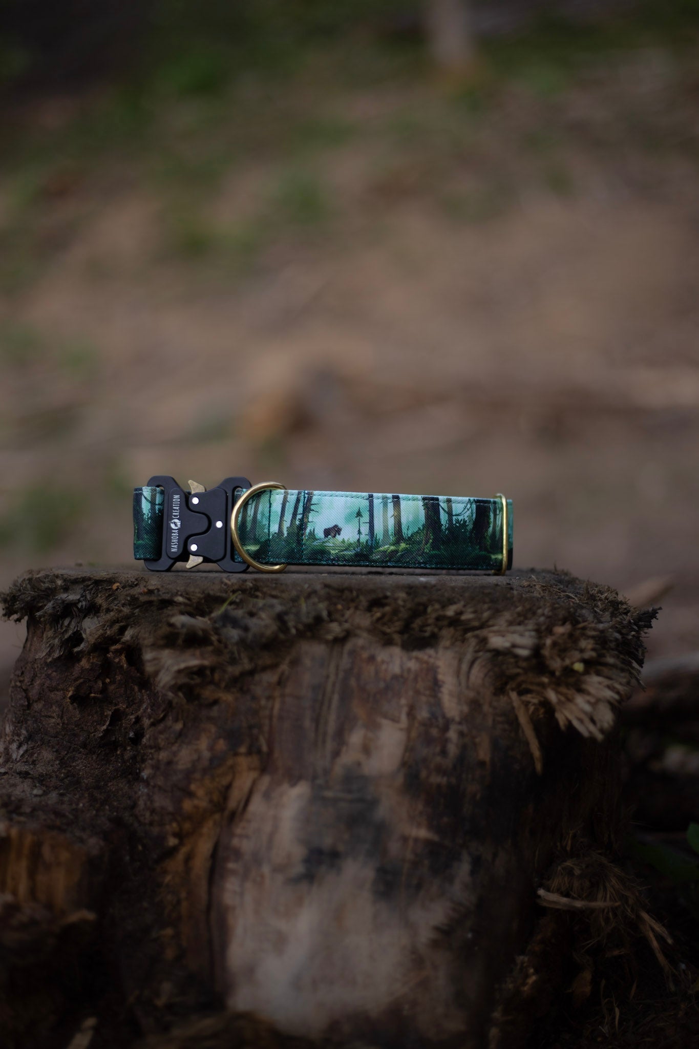 Collier pour chien - Bialowieza