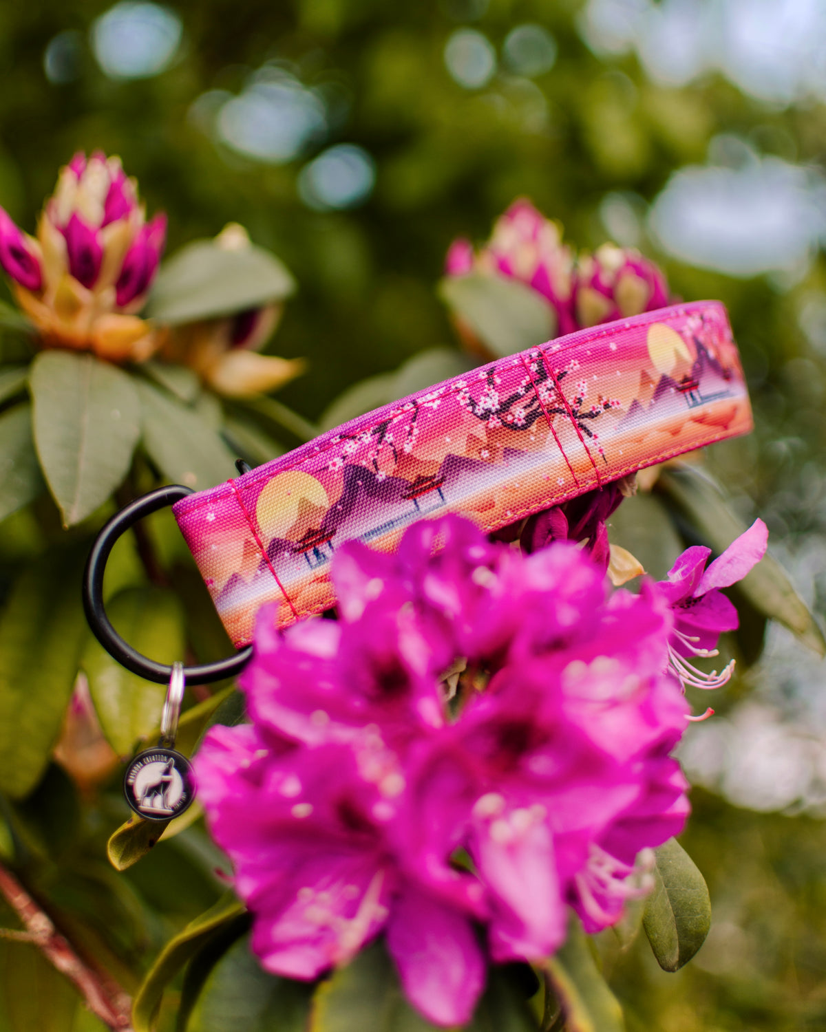 Collier pour chien - Sakura