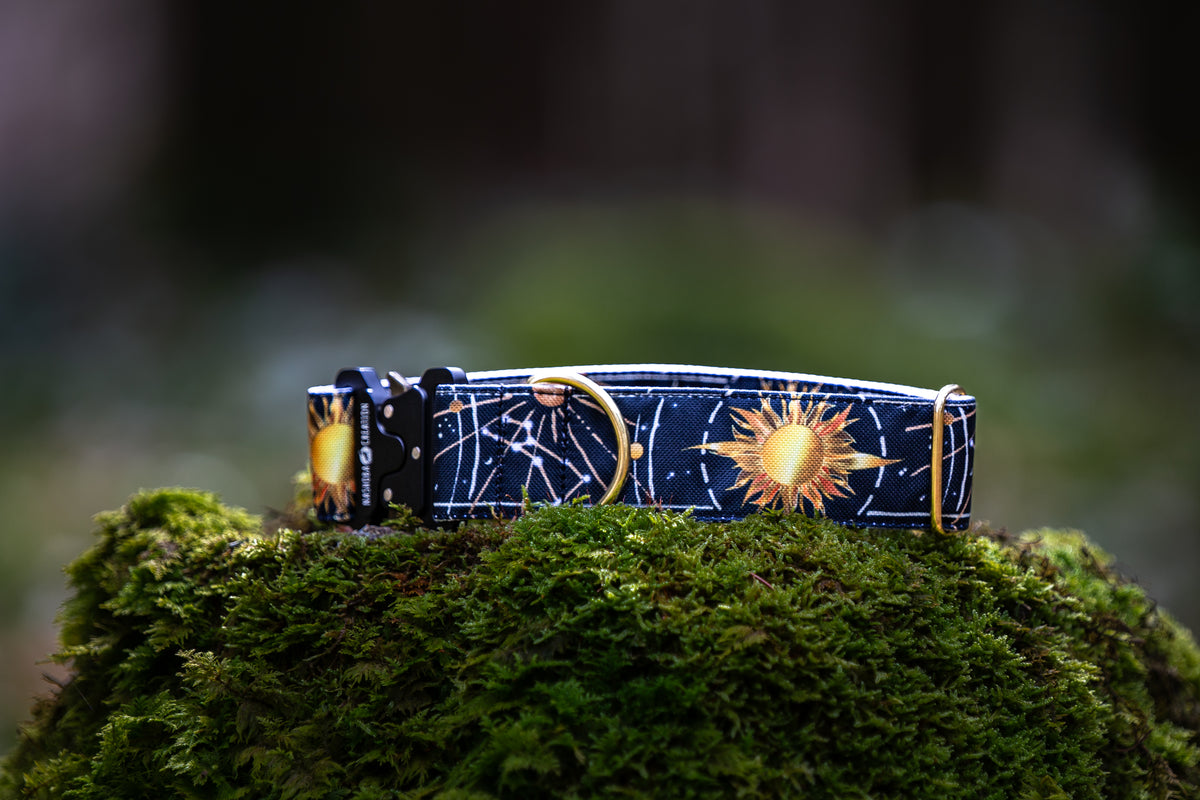 Collier pour chien -  Sun