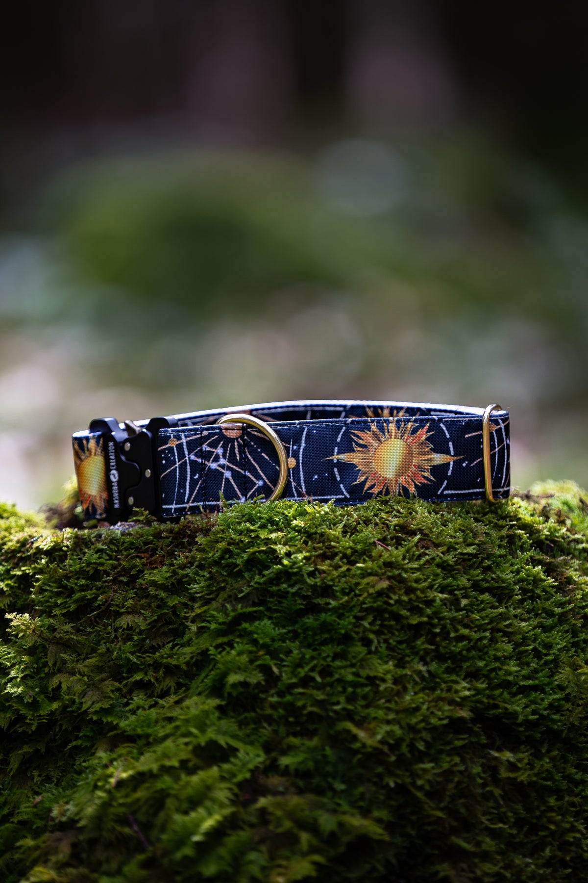 Collier pour chien -  Sun