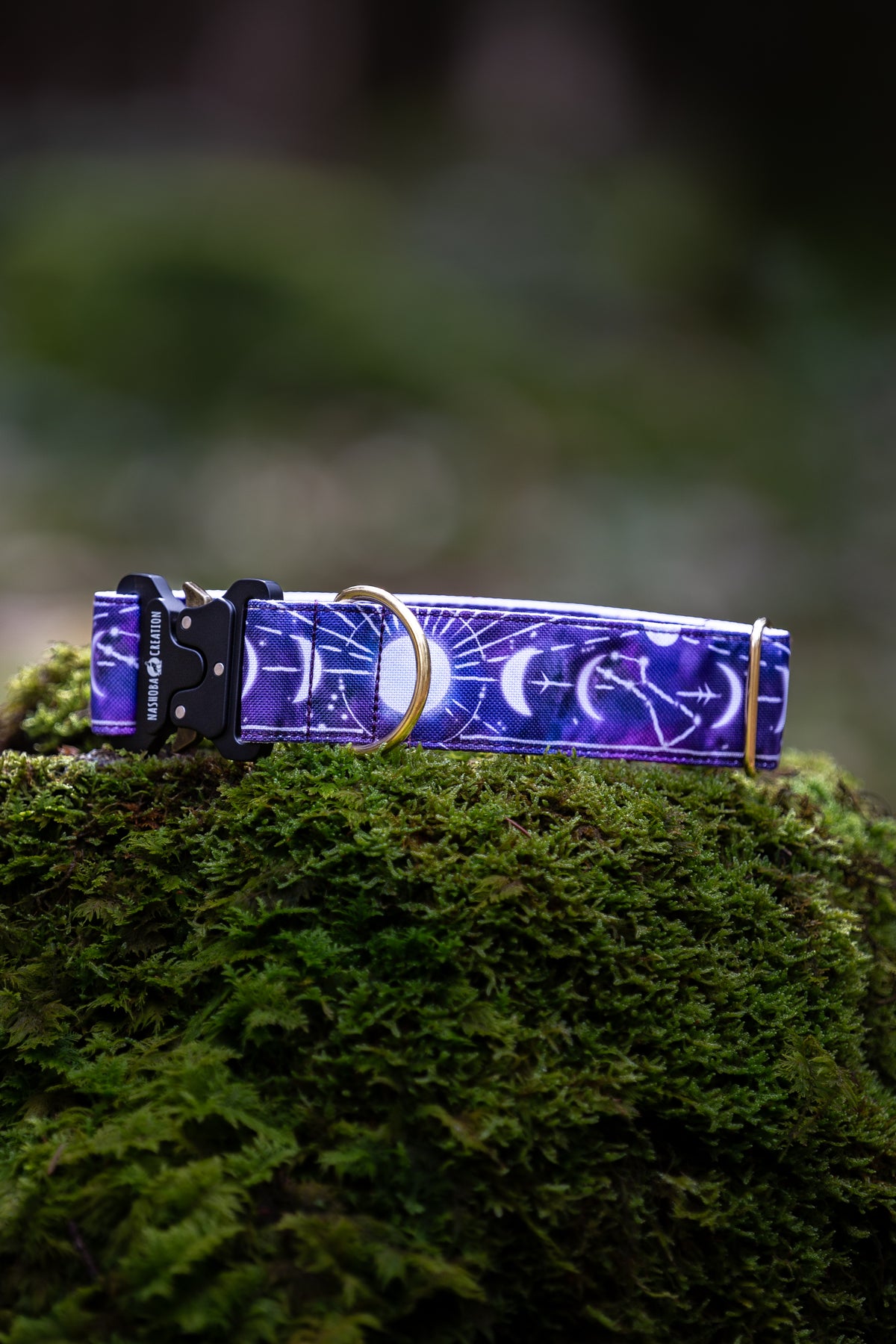 Collier pour chien - Moon