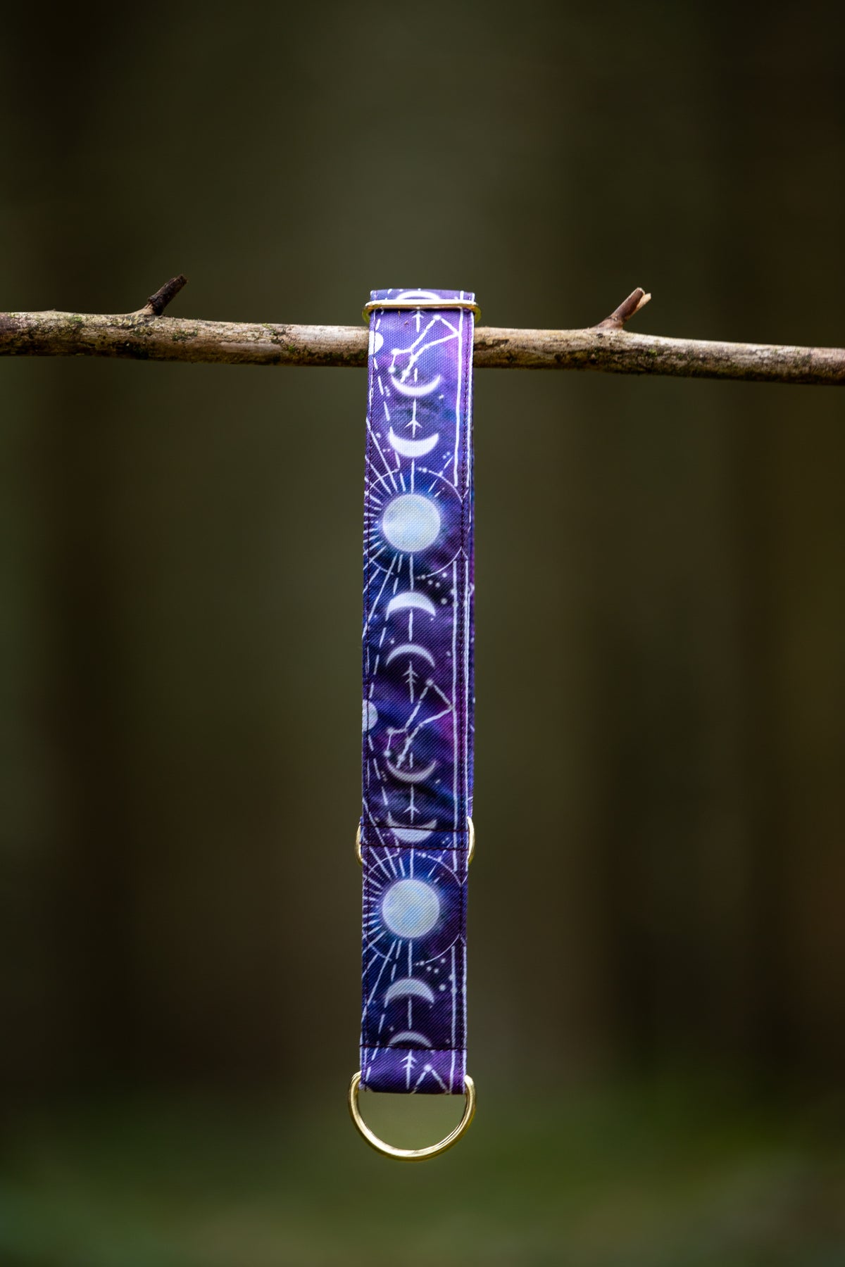 Collier pour chien - Moon