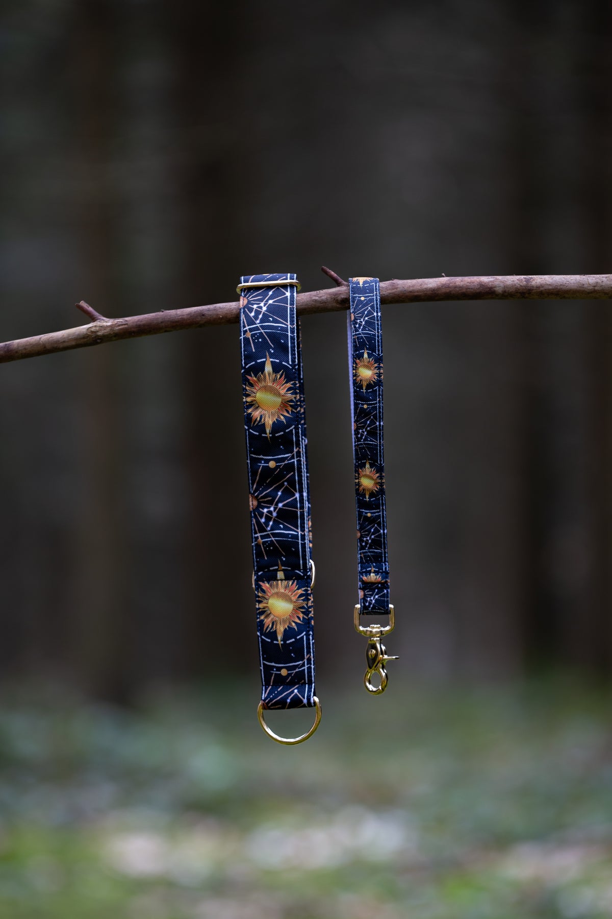 Collier pour chien -  Sun
