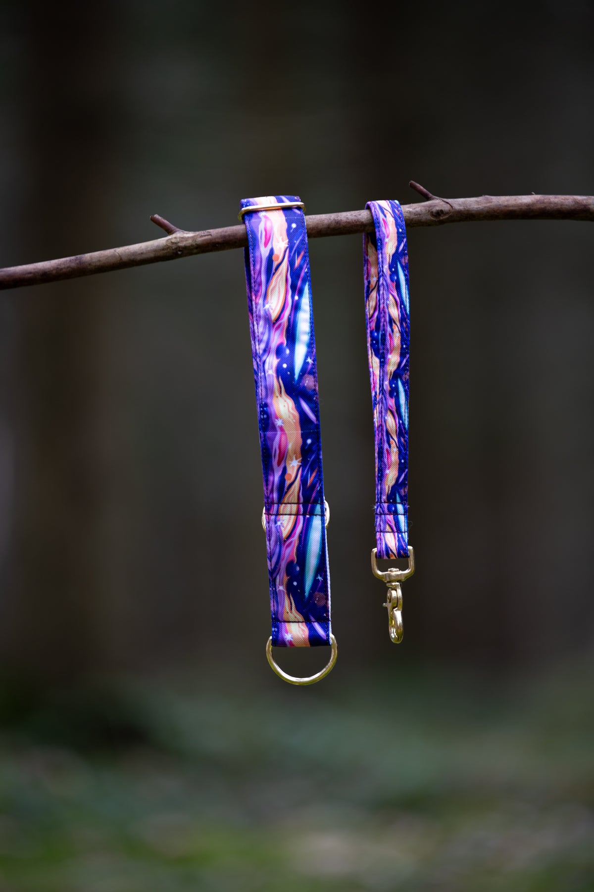 Collier pour chien - Cosmo