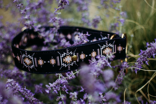 Collier pour chien - Cuzco