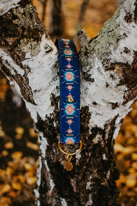 Collier pour chien - Acapulco