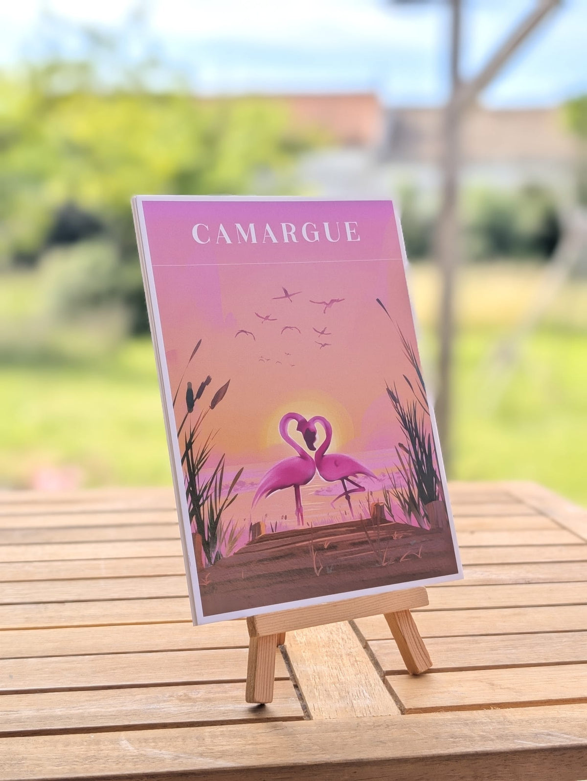 Cartes Postales - Camargue